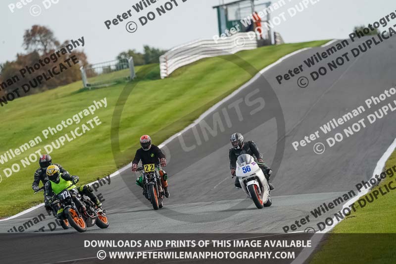 anglesey;brands hatch;cadwell park;croft;donington park;enduro digital images;event digital images;eventdigitalimages;mallory;no limits;oulton park;peter wileman photography;racing digital images;silverstone;snetterton;trackday digital images;trackday photos;vmcc banbury run;welsh 2 day enduro